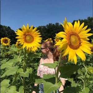 Meet your Posher, Elisabeth